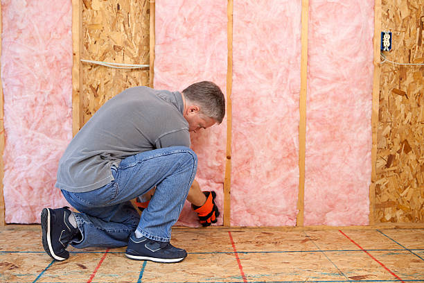 Best Crawl Space Insulation  in Buffalo Center, IA